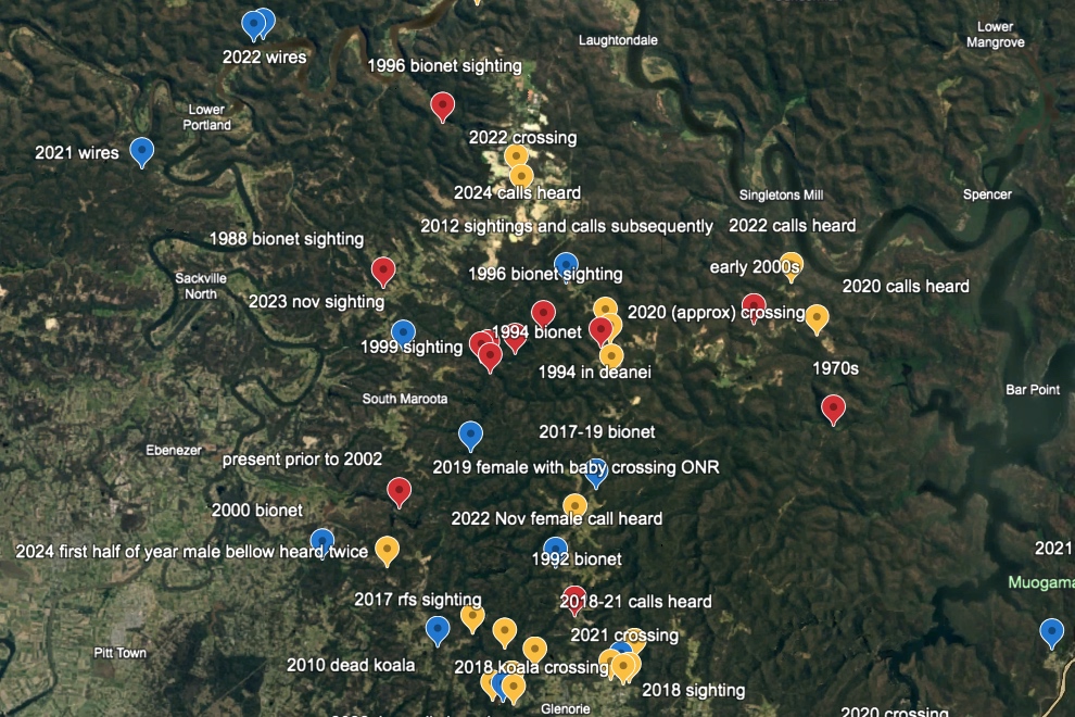 Google Earth Koala Sightings