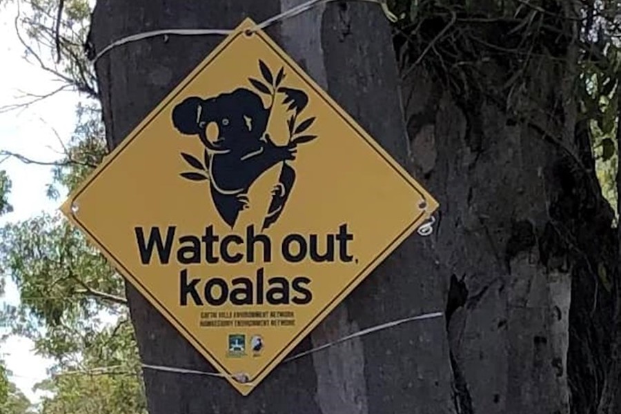 Koala Sign